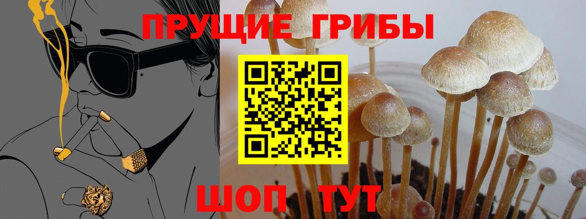 Петрозаводск  ЭКСТАЗИ  Вход с VPN  ГАШ  Кокаин  Меф кристаллы 
