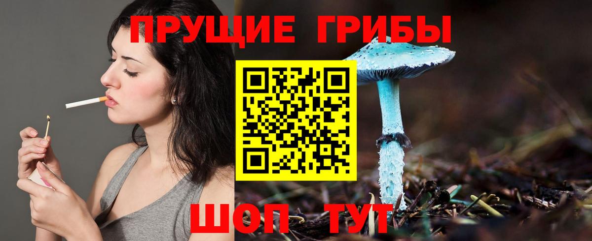 Галлюциногенные грибы GOLDEN TEACHER  Вход с VPN  Псилоцибиновые грибы Psilocybe  Петрозаводск 